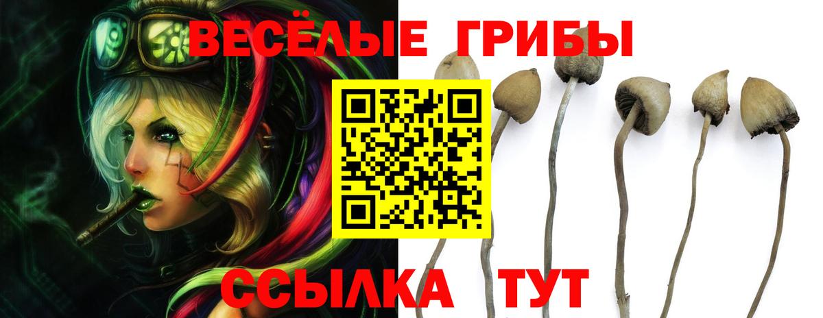 Галлюциногенные грибы ЛСД Сочи
